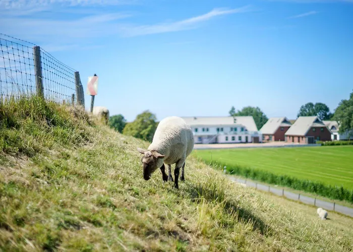 12a Gut Apartman Tossens